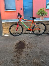 Bicicletta