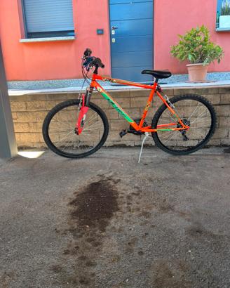 Bicicletta