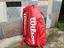 Immagine 3