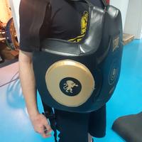 COLPITORE BUSTO LEONE