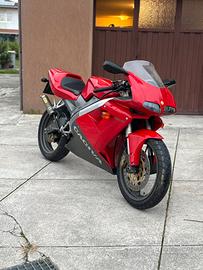 Cagiva mito 7 speed