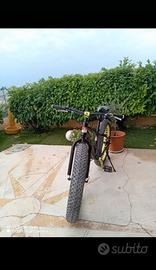  fat bike 