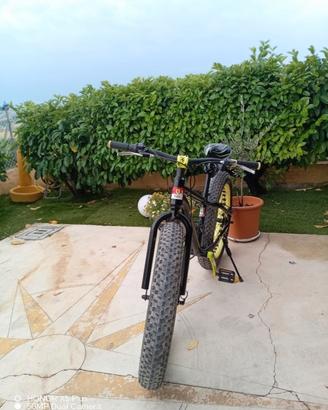   fat bike 