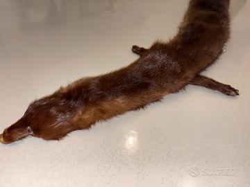 Pelliccia intera di visone vintage