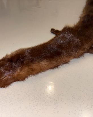 Pelliccia intera di visone vintage