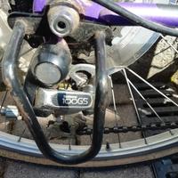 Mountain  Bike da donna 