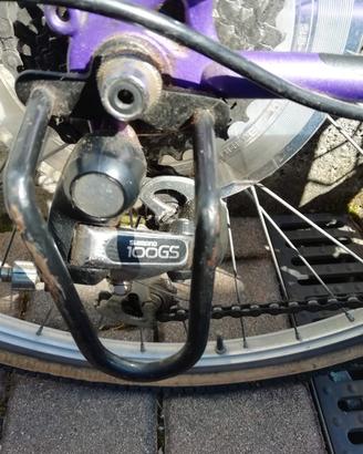 Mountain  Bike da donna 