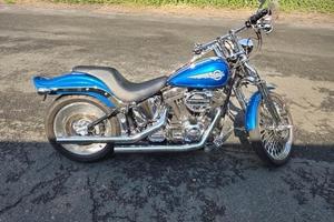 Harley-davidson 1450 Softail Springer anno 2006 co
