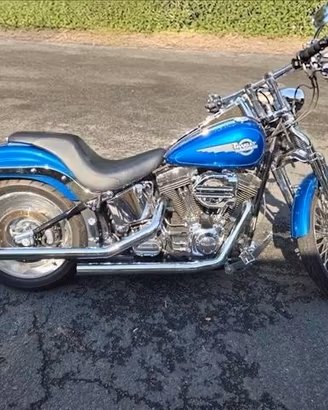Harley-davidson 1450 Softail Springer anno 2006 co