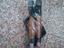 Immagine 4