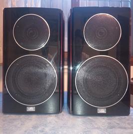 Altoparlanti VIFA VR8.5S da intenditori