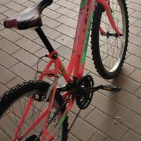 bici 24"