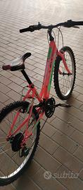 bici 24"