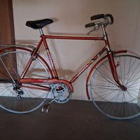 Bici da uomo Atala