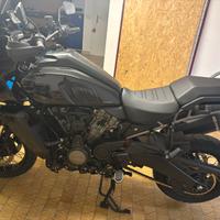 Harley Davidson pan america