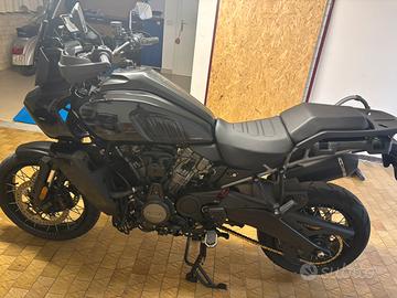 Harley Davidson pan america