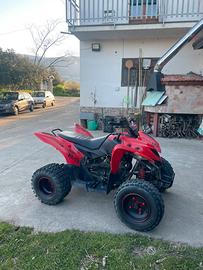 Quad Aeon 220