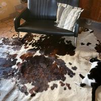 Arredo Anni 60/70 divano e tappeto mucca