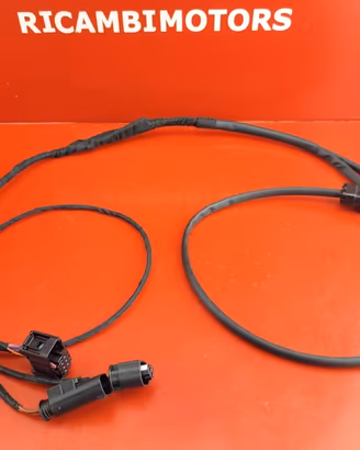 CABLAGGIO FARETTI BMW R1200RS LC