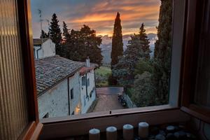 Stanza nel verde e vicinissimo alla città