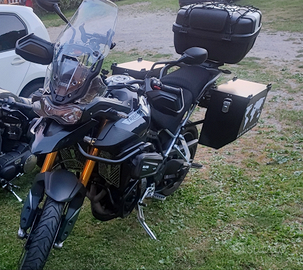 Nuova Triumph Tiger 900 rally