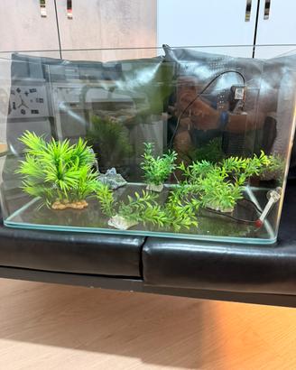Acquario