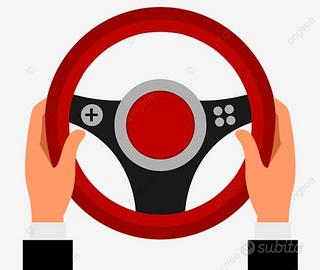 Autista pat B partita iva