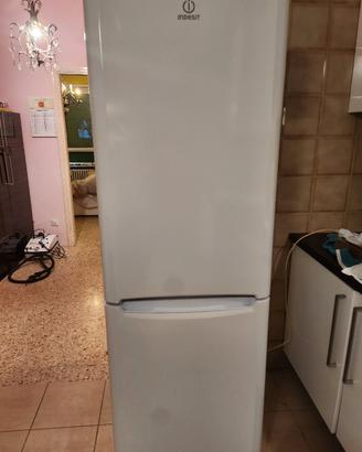 frigo