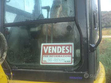 Escavatore comatus 50