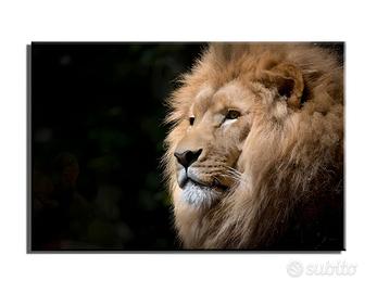 Quadro maestoso con primo piano di leone dominante