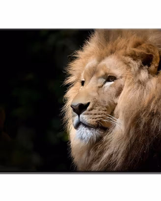 Quadro maestoso con primo piano di leone dominante
