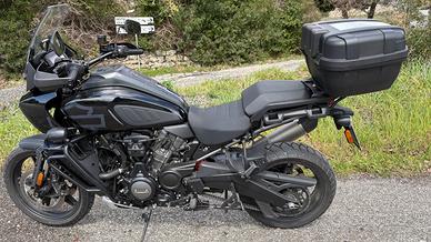 Pananerica Harley Davidson 1250 S