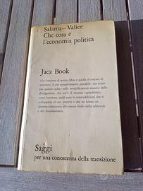 Che cosa è l'economia politica di Salama e Valier
