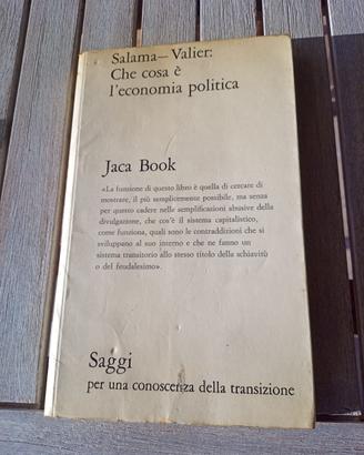 Che cosa è l'economia politica di Salama e Valier