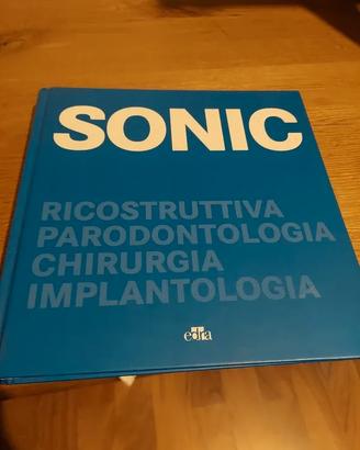 Sonic