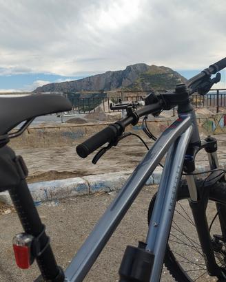MTB Rockrider Explore 520 Grigia 29" Settembre 22