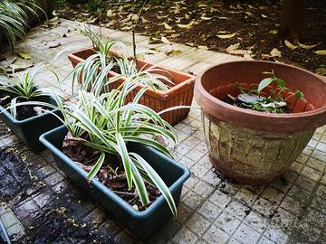 5 vasi da giardino in plastica e terracotta