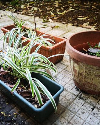 5 vasi da giardino in plastica e terracotta