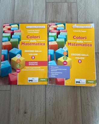 Colori della matematica 3