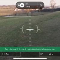 parrot disco