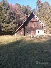 Baite con 22.000mq di terreno a Tarvisio