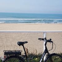 Bici elettrica