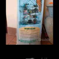 Serra per fiori e ortaggi.