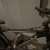 Montanbike