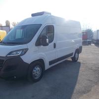 iveco fiat ducato anno 2021 furgone frigo e.6