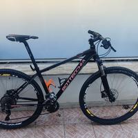 MTB Bottecchia Gavia 29