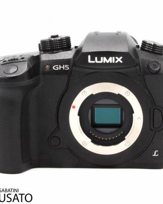 USATO Lumix GH5    CV2034!
