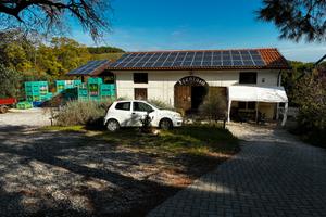 Attivita IN TOSCANA FRANTOIO AVVIATO