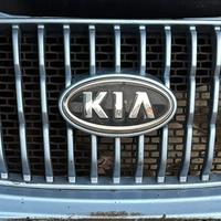 Griglia mascherina Kia picanto