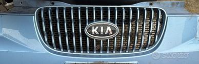 Griglia mascherina Kia picanto